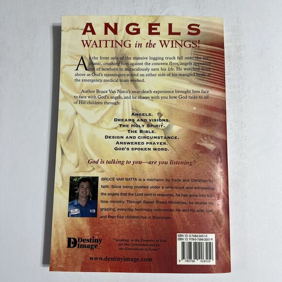 Saved by Angels by Bruce Van Natta Near Death Experience Paperback Book - Picture 5 of 9